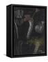 Canvas Black