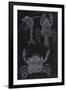 Gramercy Black
