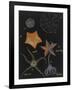 Gramercy Black