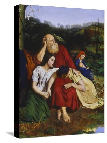 Stretched Canvas Print, , large