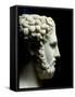 Philip II of Macedon 382-336 BC, Father of Alexander the Great-null-Framed Stretched Canvas