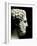 Philip II of Macedon 382-336 BC, Father of Alexander the Great-null-Framed Photographic Print