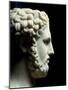 Philip II of Macedon 382-336 BC, Father of Alexander the Great-null-Mounted Photographic Print