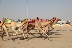 Racing Camels with a Robot Jockeys, Dubai, United Arab Emirates-Philip Lange-Laminated Photographic Print