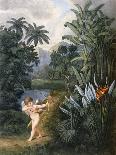 Exotic Birds and Insects Among Trees and Foliage in a Mountainous River Landscape-Philip Reinagle-Framed Giclee Print