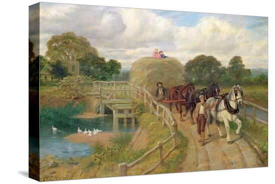Stretched Canvas Print, , large