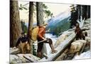 Wood Mount