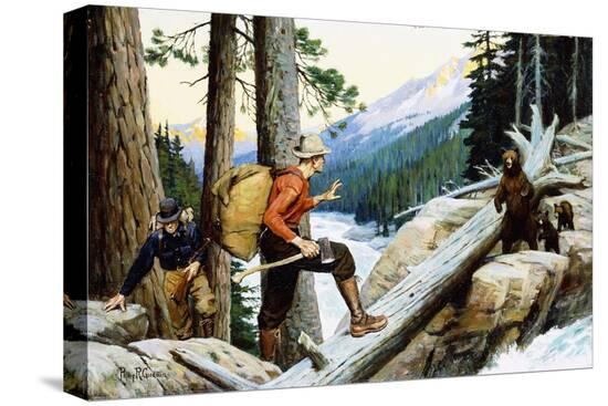 Stretched Canvas Print, , large