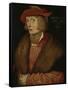 Philip the Warlike, Count Palatine, 1517-Hans Baldung Grien-Framed Stretched Canvas