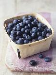 Blueberries in a Punnet-Philip Webb-Photographic Print