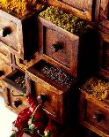 Spices in Drawers-Philip Wilkins-Art Print