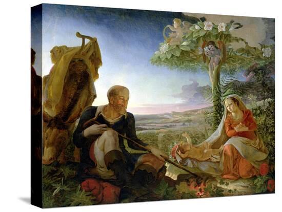 Stretched Canvas Print, , large