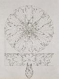 Study for a Cornflower, 1808-Philipp Otto Runge-Giclee Print