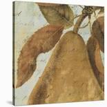 Joli Fruit I-Philippa-Stretched Canvas