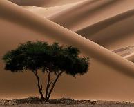 Namib Desert-Philippe Bourseiller-Framed Art Print