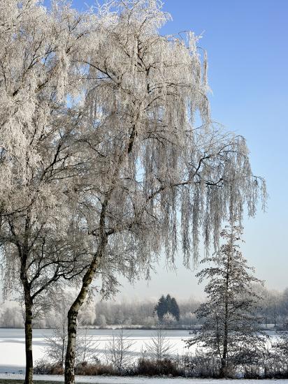 Premium Photographic Print, , large
