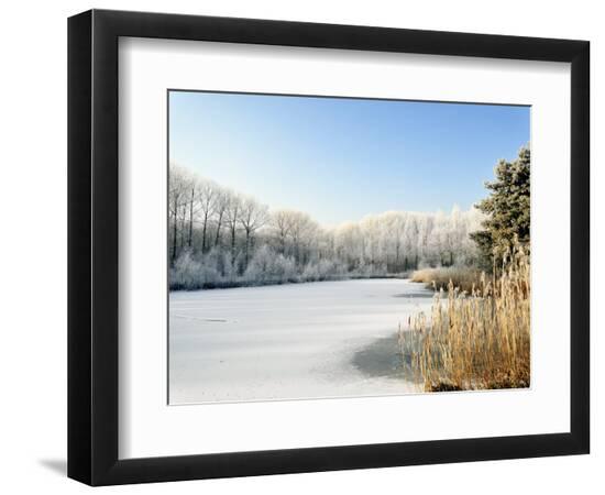 Premium Photographic Print, , large