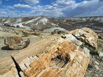 Petrified Logs Exposed by Erosion, Painted Desert and Petrified Forest, Arizona, Usa May 2007-Philippe Clement-Photographic Print