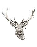 Elk-Philippe Debongnie-Art Print