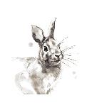 Rabbit-Philippe Debongnie-Art Print