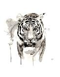 Zebra II-Philippe Debongnie-Art Print
