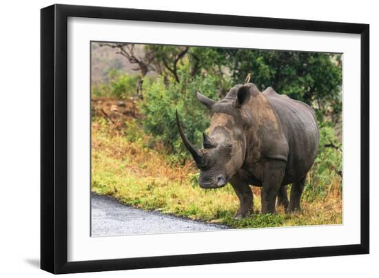 Premium Photographic Print, , large