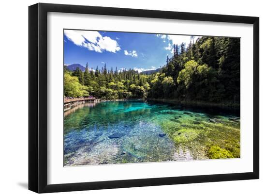 Premium Photographic Print, , large