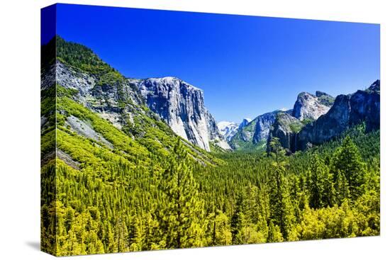 Stretched Canvas Print, , large