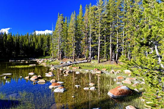 Premium Photographic Print, , large