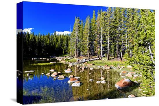 Stretched Canvas Print, , large