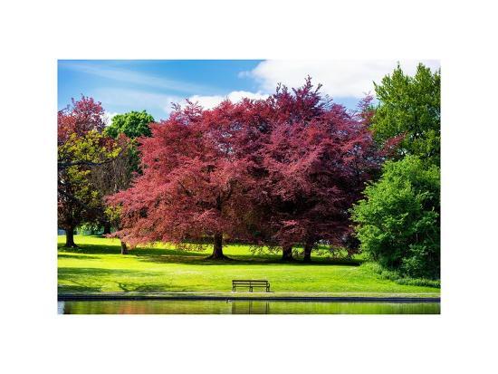 Art Print, , large