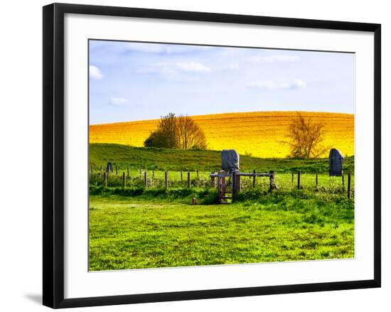 Premium Photographic Print, , large