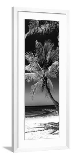 Framed Photographic Print, , large