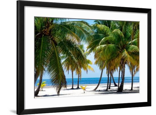 Framed Photographic Print, , large