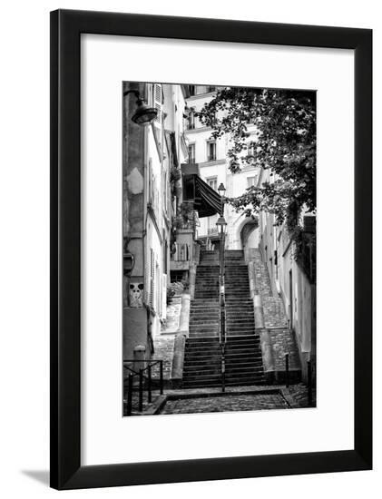 Framed Photographic Print, , large