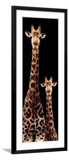 Framed Photographic Print, , large