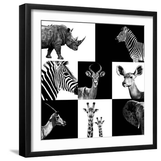 Premium Photographic Print, , large