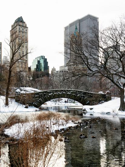 Premium Photographic Print, , large