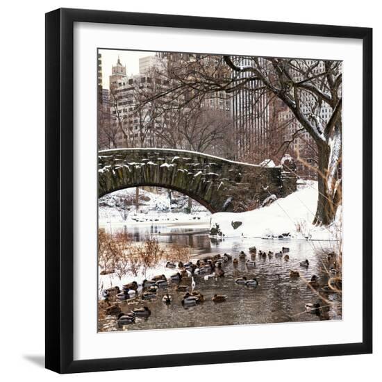 Premium Photographic Print, , large
