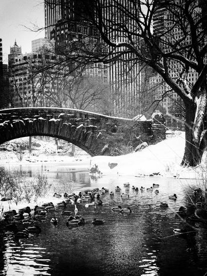 Premium Photographic Print, , large
