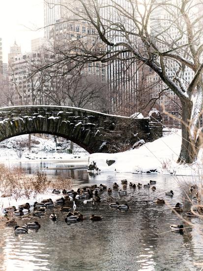 Premium Photographic Print, , large