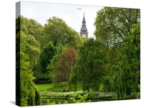 Stretched Canvas Print, , large
