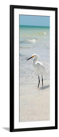 Framed Photographic Print, , large
