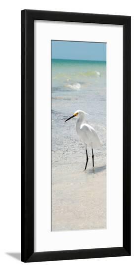 Framed Photographic Print, , large