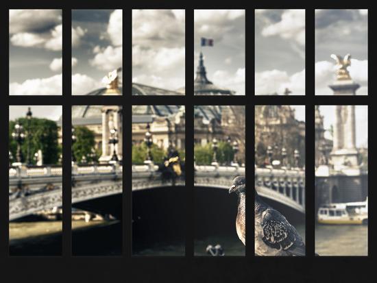 Premium Photographic Print, , large