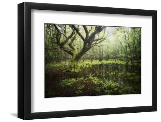 Premium Photographic Print, , large