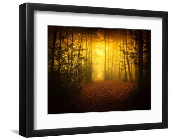 Premium Photographic Print, , large