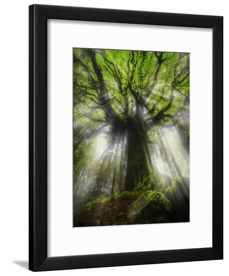Framed Photographic Print, , large