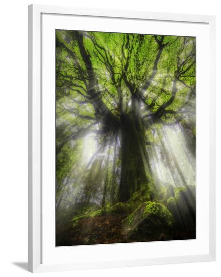Framed Photographic Print, , large