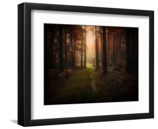 Premium Photographic Print, , large